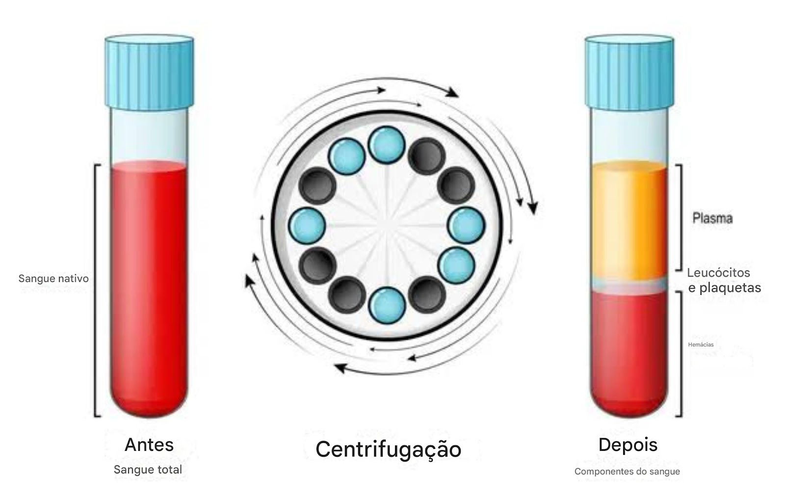 Infográfico do princípio da centrifugação mostrando a separação de amostras em pellet e sobrenadante.
