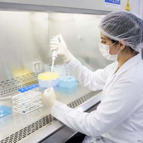 Técnico de laboratório manipulando amostras estéreis em capela de fluxo laminar.